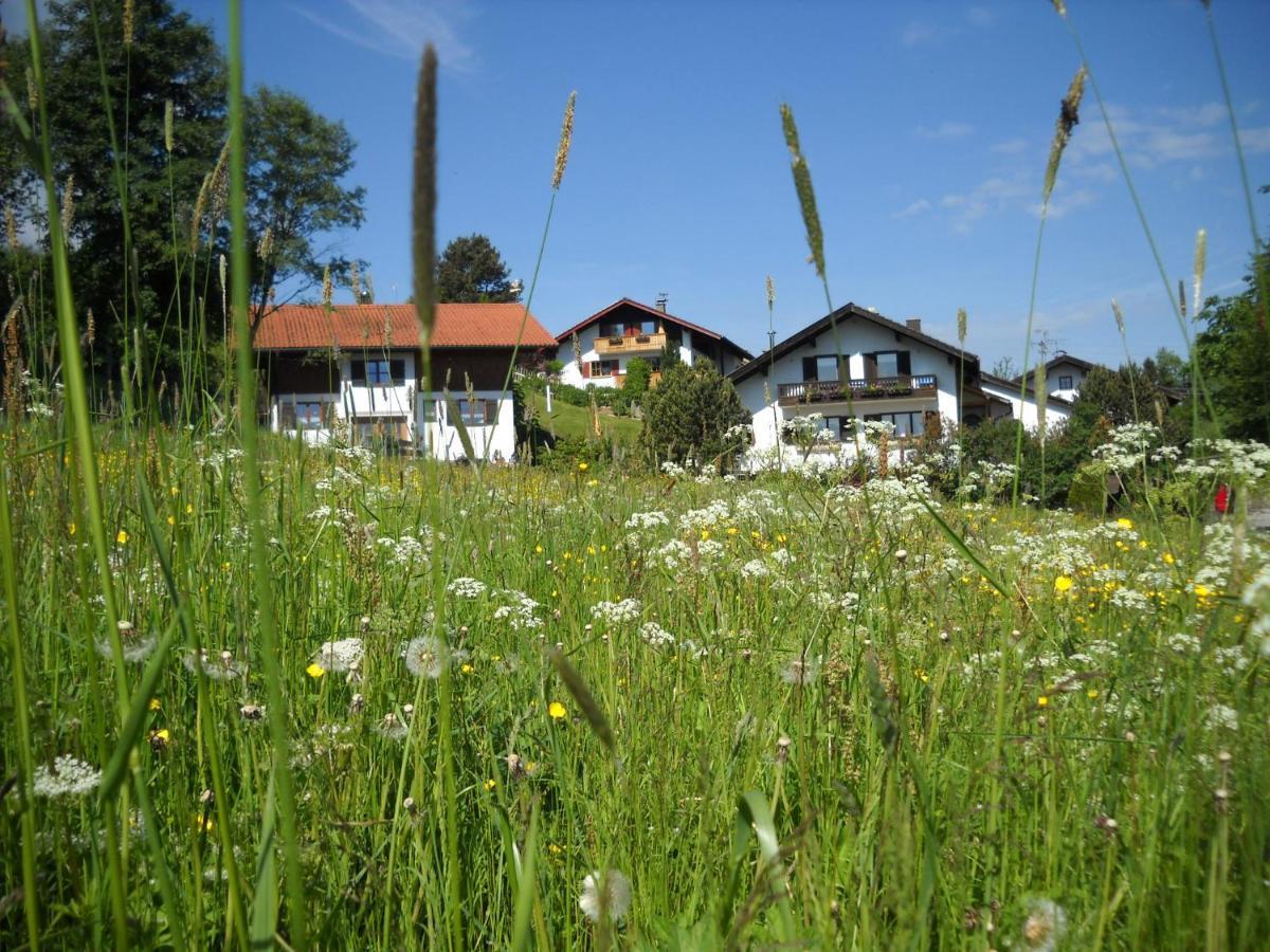 Im- Oberland - Berg - Koenigscard Apartment Бад Колгруб Екстериор снимка