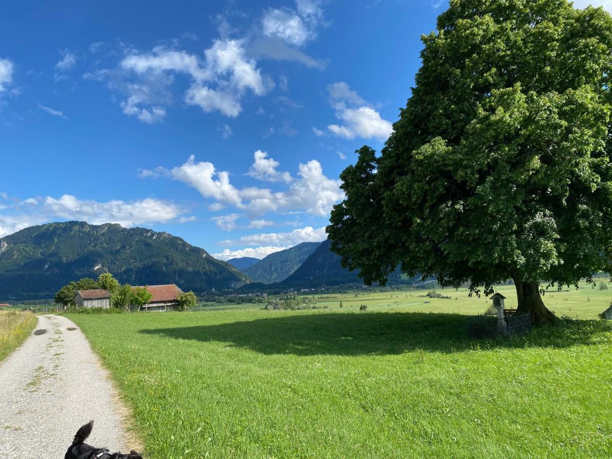 Im- Oberland - Berg - Koenigscard Apartment Бад Колгруб Екстериор снимка