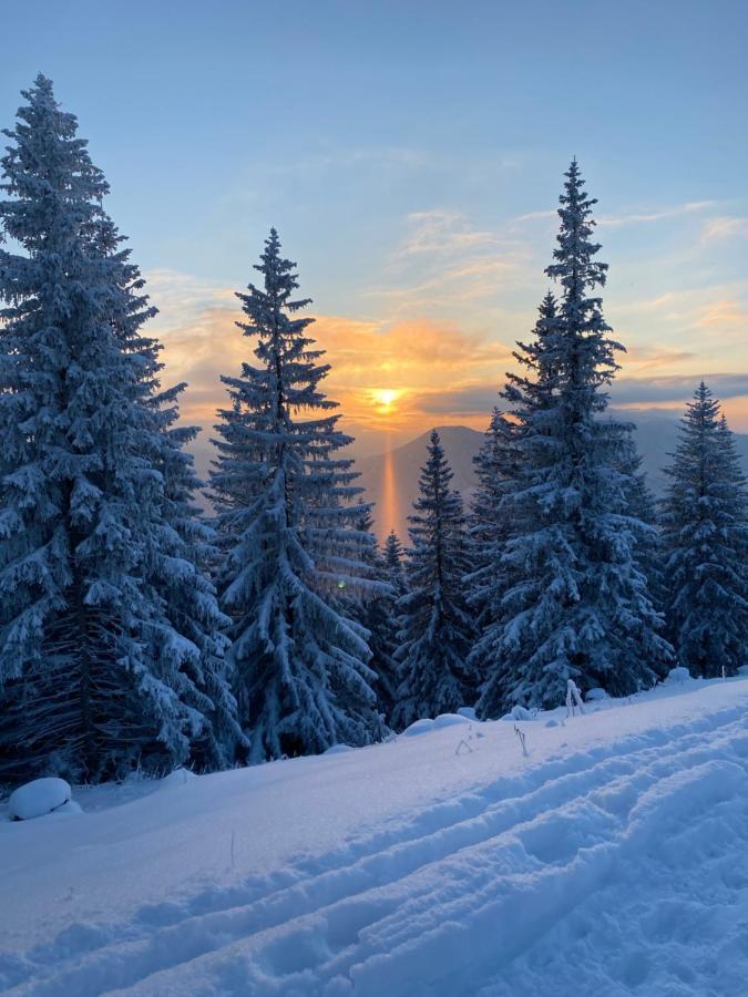 Im- Oberland - Berg - Koenigscard Apartment Бад Колгруб Екстериор снимка